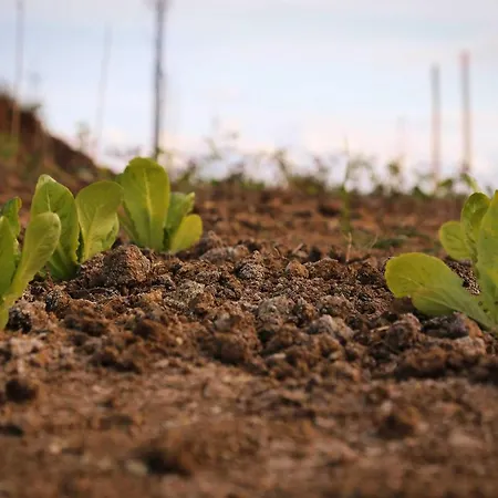 Biocore 2 - Colledoro לינה וארוחת בוקר ג'וליאנובה