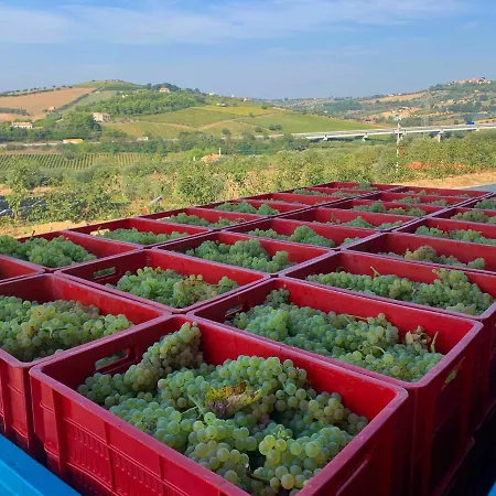 Bed & Breakfast Biocore 2 - Colledoro 4*