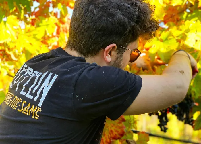 Biocore 2 - Colledoro Bed and Breakfast