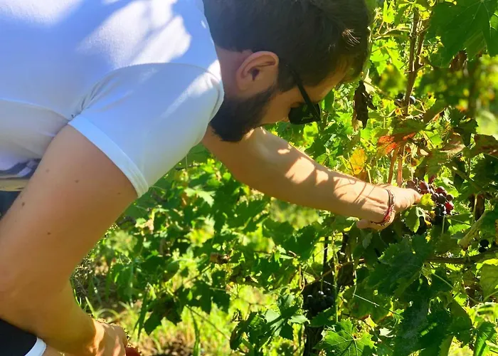 Bed and Breakfast Biocore 2 - Colledoro 4*