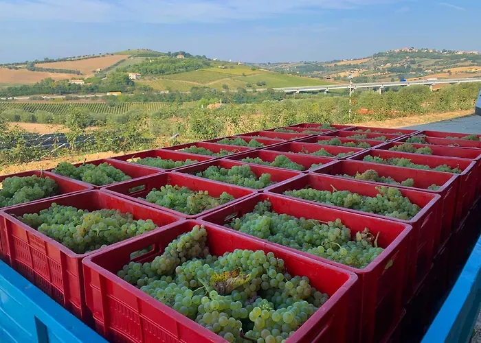 Bed and Breakfast Biocore 2 - Colledoro 4*